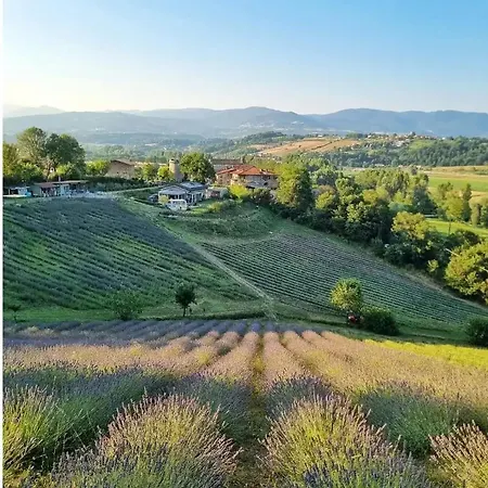 La Lavanda Di Poppi-mini