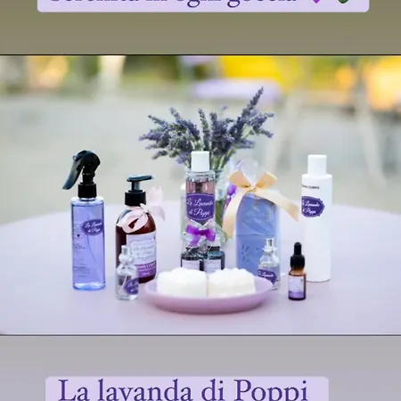 La Lavanda Di Poppi-mini Apartment Poppi